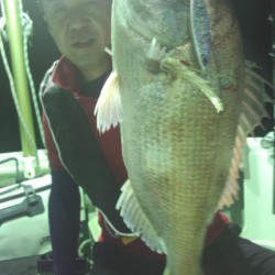 藤義丸 釣果 投稿