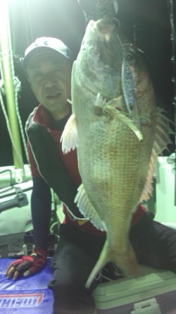 藤義丸 釣果 投稿