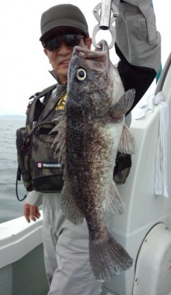 藤義丸 釣果 投稿