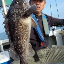 藤義丸 釣果 投稿