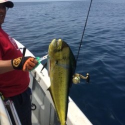 Blue.win 海人丸 釣果