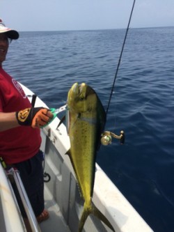 Blue.win 海人丸 釣果