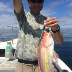 Blue.win 海人丸 釣果