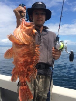 Blue.win 海人丸 釣果