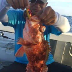 Blue.win 海人丸 釣果