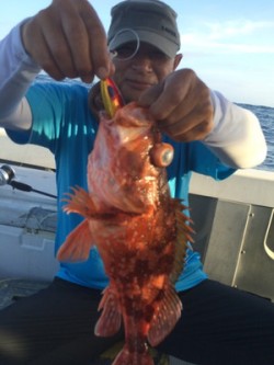 Blue.win 海人丸 釣果