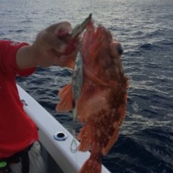 Blue.win 海人丸 釣果