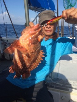 Blue.win 海人丸 釣果