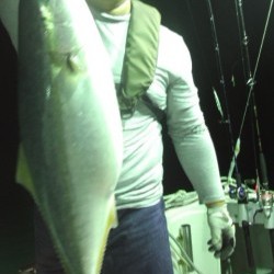 藤義丸 釣果 投稿