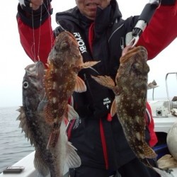 藤義丸 釣果 投稿