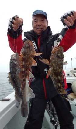 藤義丸 釣果 投稿