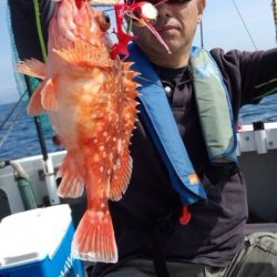 藤義丸 釣果 投稿