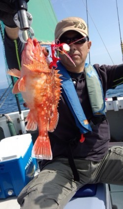 藤義丸 釣果 投稿