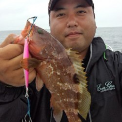 藤義丸 釣果 投稿