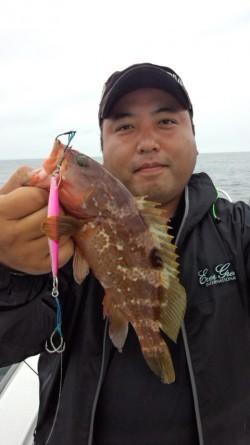 藤義丸 釣果 投稿