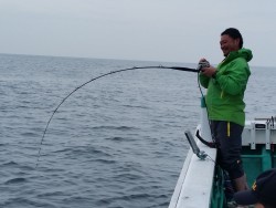 清和丸 釣果 投稿