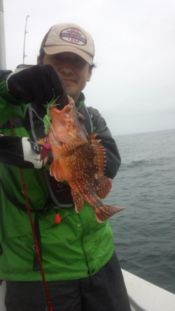 藤義丸 釣果 投稿