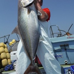 オーシャンパイオニア 釣果