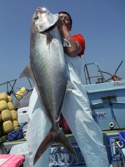 オーシャンパイオニア 釣果