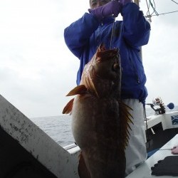 オーシャンパイオニア 釣果