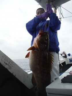 オーシャンパイオニア 釣果