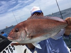 RUNTHROUGH 釣果 投稿