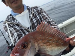 RUNTHROUGH 釣果 投稿