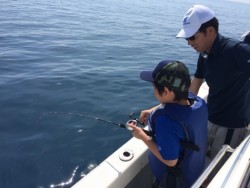 エヌスタイル 釣果