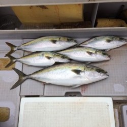 浜栄丸 釣果 投稿