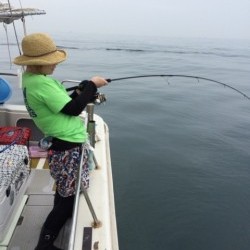 浜栄丸 釣果 投稿