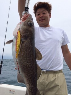 エヌスタイル 釣果 投稿