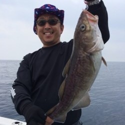 エヌスタイル 釣果 投稿