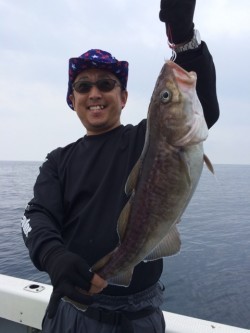 エヌスタイル 釣果 投稿