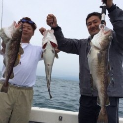 エヌスタイル 釣果 投稿