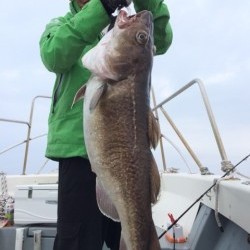 エヌスタイル 釣果 投稿