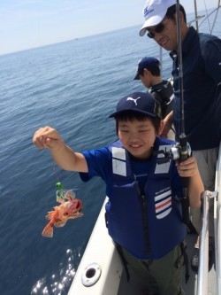 エヌスタイル 釣果