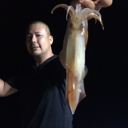 エヌスタイル 釣果