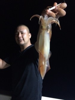 エヌスタイル 釣果