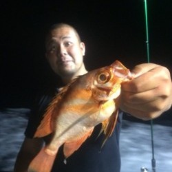 エヌスタイル 釣果