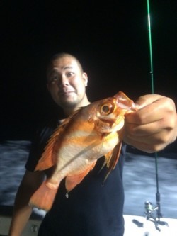 エヌスタイル 釣果