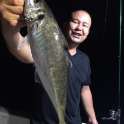 エヌスタイル 釣果