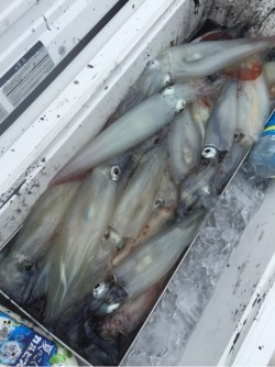 「LaGooN」蒼陽丸 日和号　 釣果