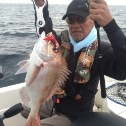 「LaGooN」蒼陽丸 日和号 釣果