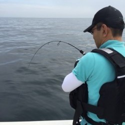 「LaGooN」蒼陽丸 日和号 釣果
