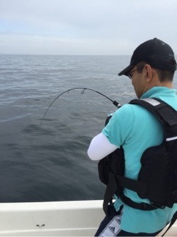「LaGooN」蒼陽丸 日和号 釣果