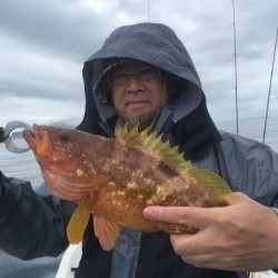 「LaGooN」蒼陽丸 日和号　 釣果