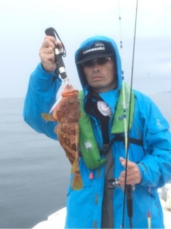 「LaGooN」蒼陽丸 日和号　 釣果