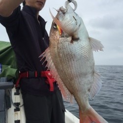 「LaGooN」蒼陽丸 日和号　 釣果