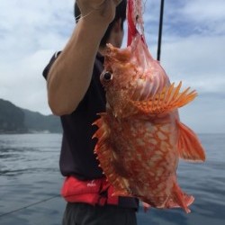 「LaGooN」蒼陽丸 日和号　 釣果
