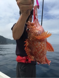 「LaGooN」蒼陽丸 日和号　 釣果